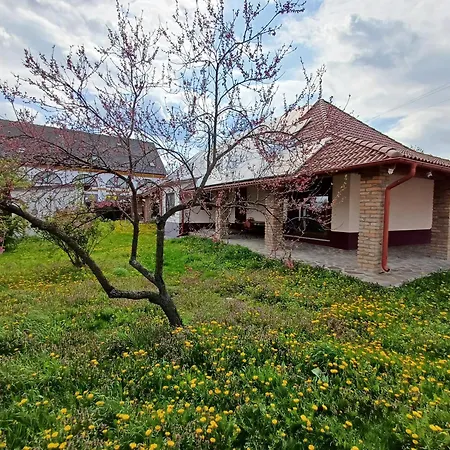 Penny Guest house